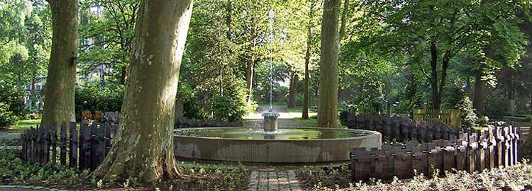 Urnenfeld Platanenanlage Westfriedhof Nürnberg