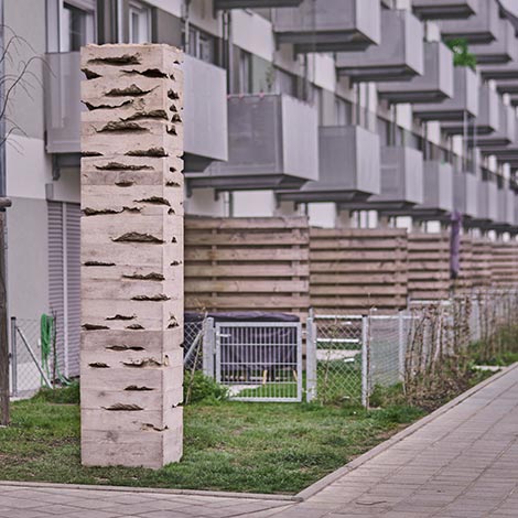 Erosionen von Tobias Rempp